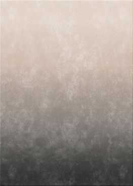 Anna-Veda 11968-gradient m6 - handgefertigter Teppich,  getuftet (Indien), 24x24 5ply Qualität